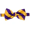 Dark Purple and Golden Yellow Striped Bow Tie sold by TieMart