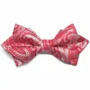 Red Clara Paisley Diamond Tip Bow Tie sold by TieMart