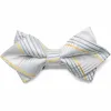 Soft Gray Jeffrey Plaid Diamond Tip Bow Tie sold by TieMart