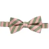 Dusty Pink and Peridot Formal Striped Bow Tie sold by TieMart