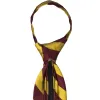 Maroon and Gold Striped Zipper Tie sold by TieMart
