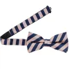 Blush Pink and Navy Blue Formal Striped Bow Tie sold by TieMart