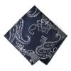 Dark Blue and Silver Kilburn Paisley Pocket Square sold by TieMart