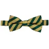 Hunter Green and Gold Formal Striped Bow Tie sold by TieMart