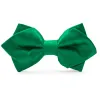 Kelly Green Diamond Tip Bow Tie sold by TieMart