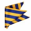 Royal Blue and Golden Yellow Striped Pocket Square sold by TieMart