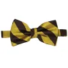 Brown and Gold Striped Bow Tie sold by TieMart