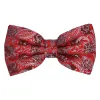 Red and Silver Victoria Paisley Bow Tie sold by TieMart