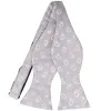 Soft Gray and Pink Sidley Paisley Self-Tie Bow Tie sold by TieMart