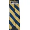 Light Gold and Twilight Blue Extra Long Striped Tie sold by TieMart