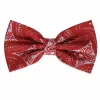 Red and Silver Chadwick Paisley Bow Tie sold by TieMart