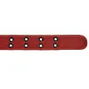 Brick Red Double Grommet Belt sold by TieMart