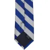 Royal Blue and Silver Extra Long Striped Tie sold by TieMart