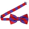 Red and Purple Striped Bow Tie sold by TieMart