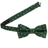 Hunter Green and Gold Polka Dot Bow Tie sold by TieMart