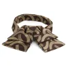 Chocolate Brown Kay Link Pattern Floppy Bow Tie sold by TieMart
