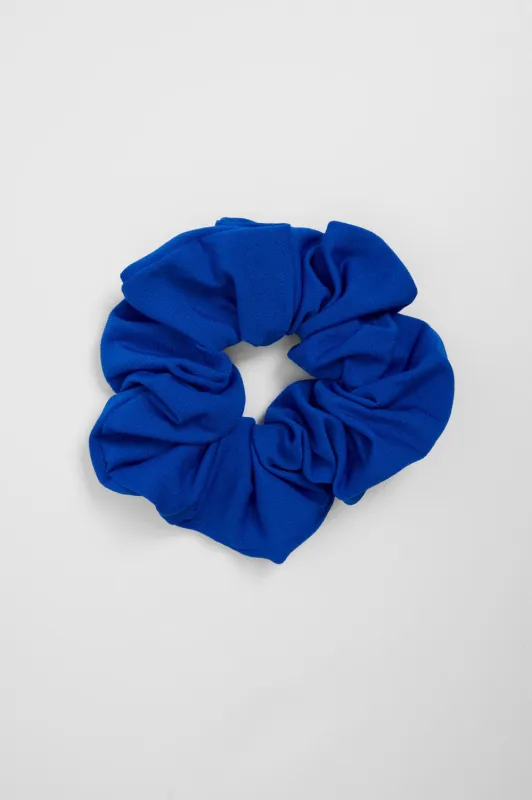 Swimming Scrunchies & Hair Ties - Blueberry sold by Jolyn