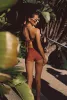 High Waist Bardot Bottom - Dolce sold by Skatie