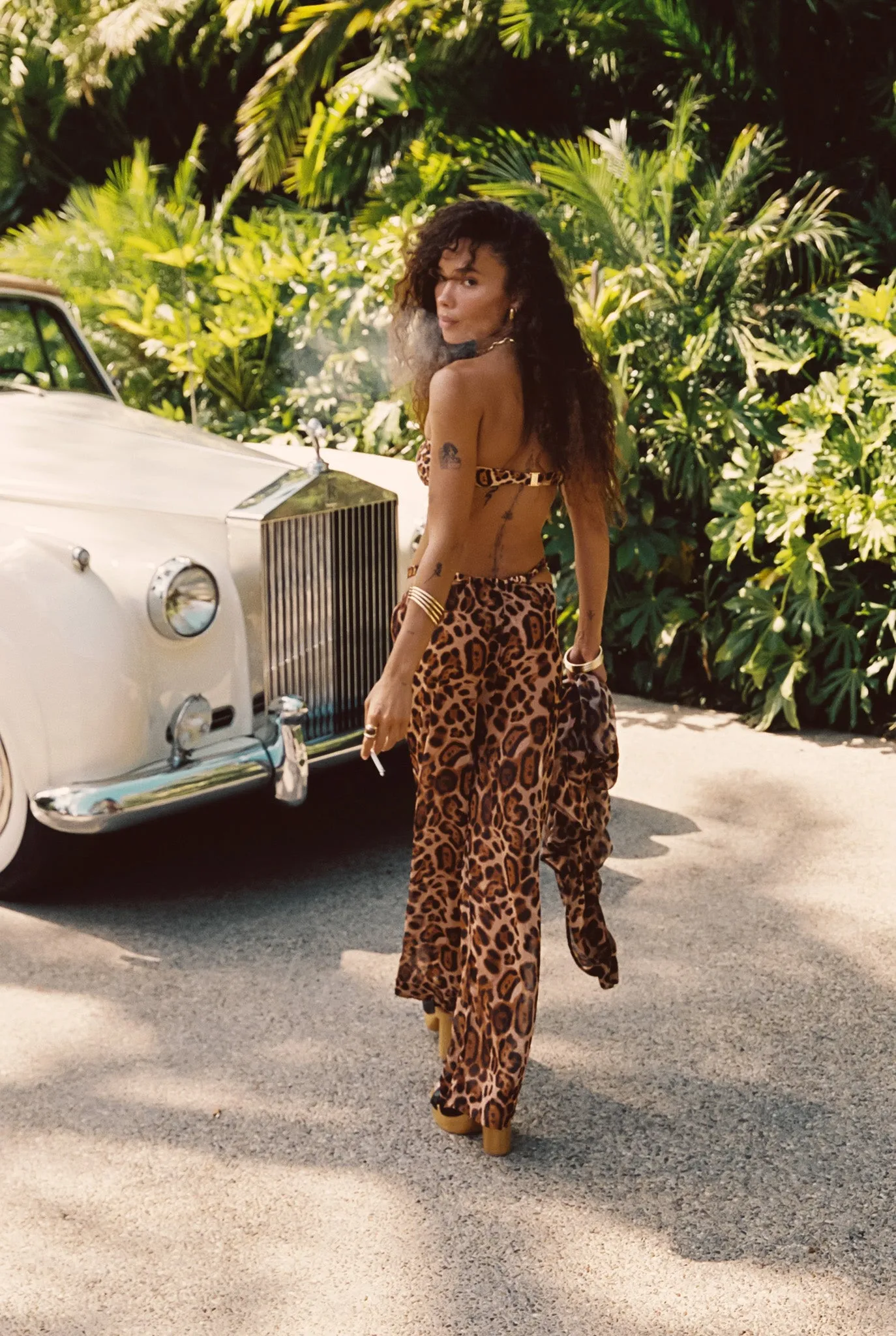 Wholesale Ava Pants Chiffon - Royale sold by Skatie