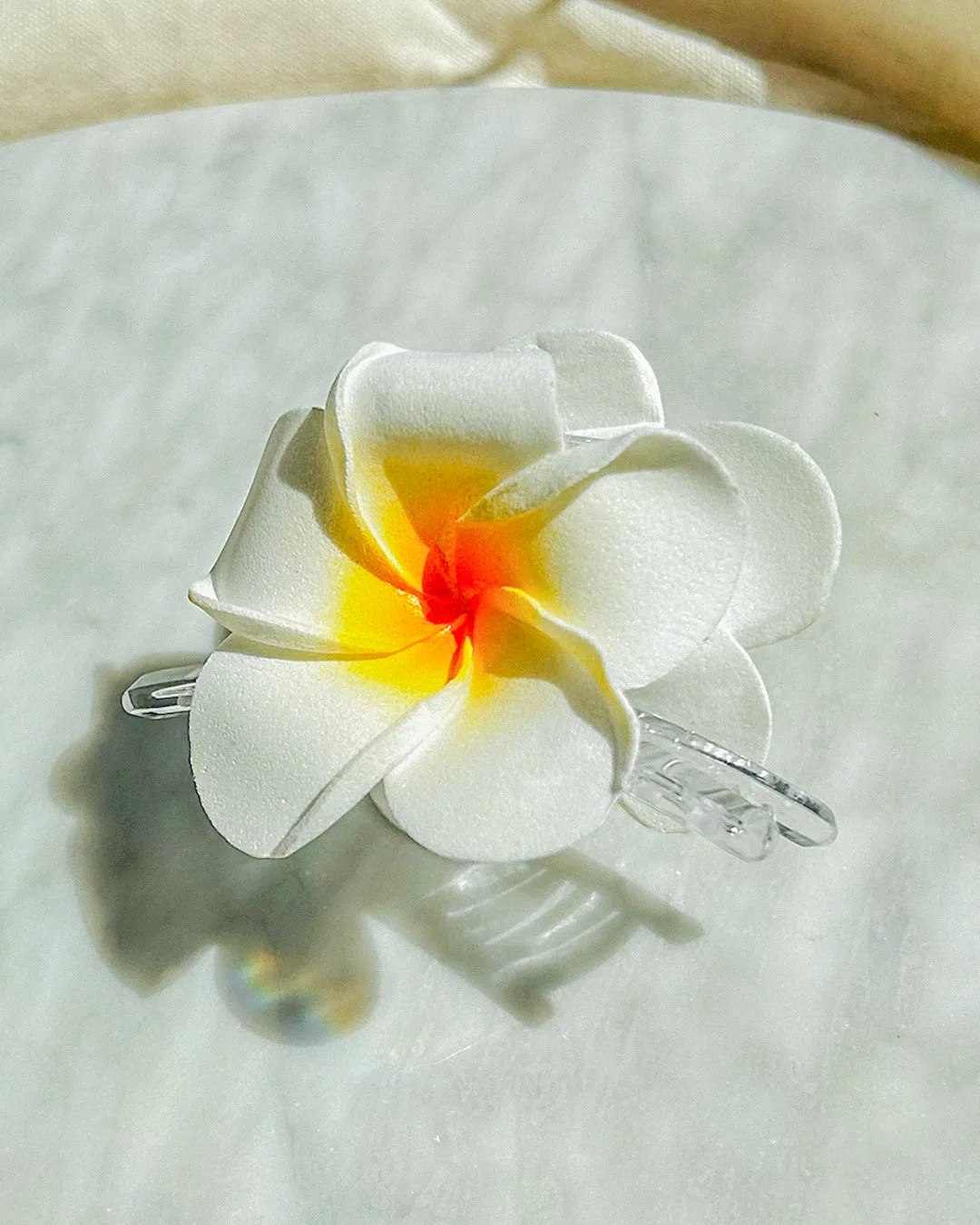 Frangipani Clear Hair Claw sold by Bamboo Blonde product image thumbnail 2