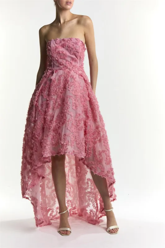 Eden Rose Pink Embroidery Tulle Maxi Dress made by True Decadence