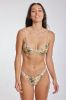 Johnny Bottom - Puakenikeni sold by Benoa Swim