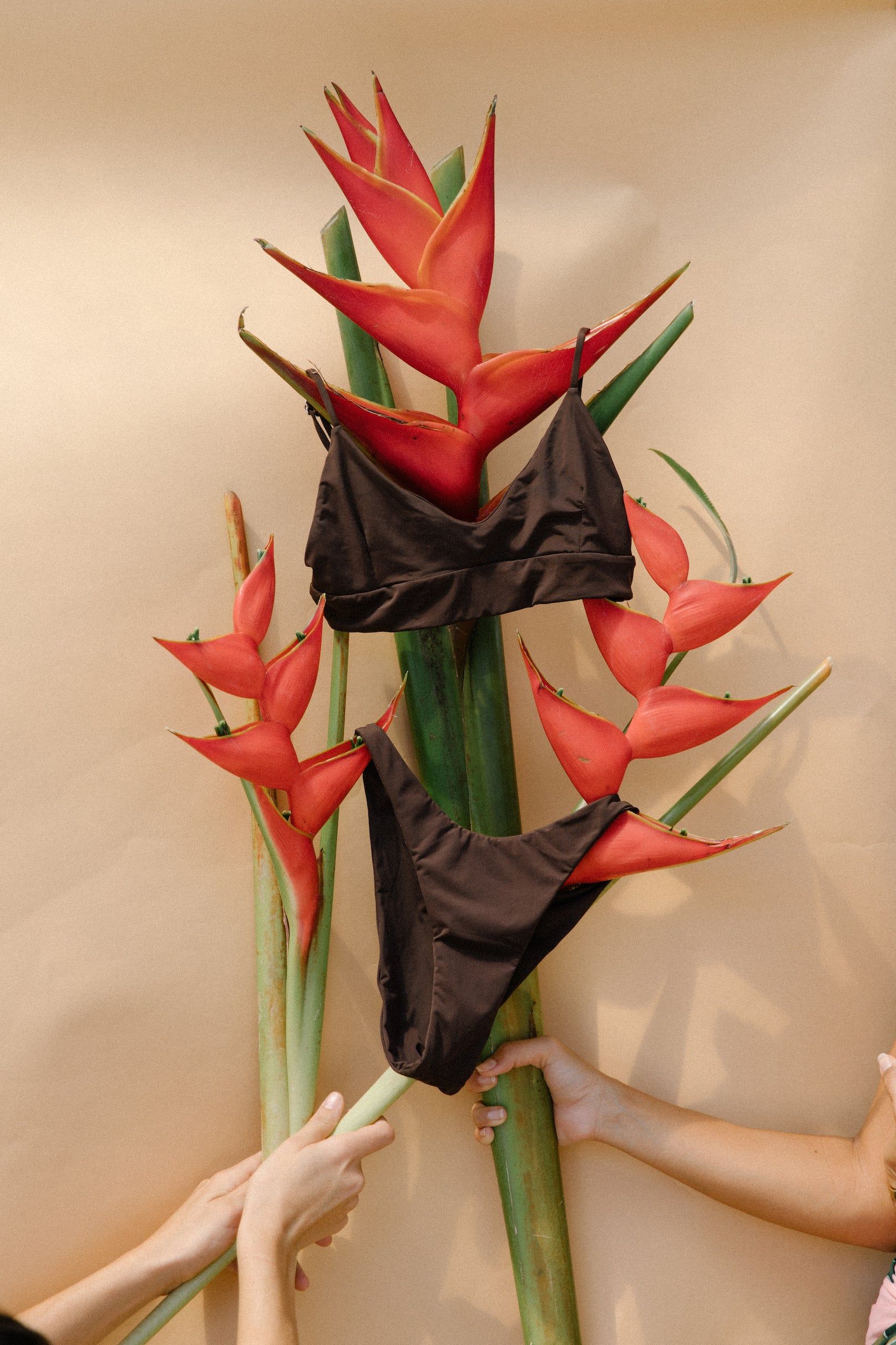 On My Way Bralette - Kukui sold by Benoa Swim