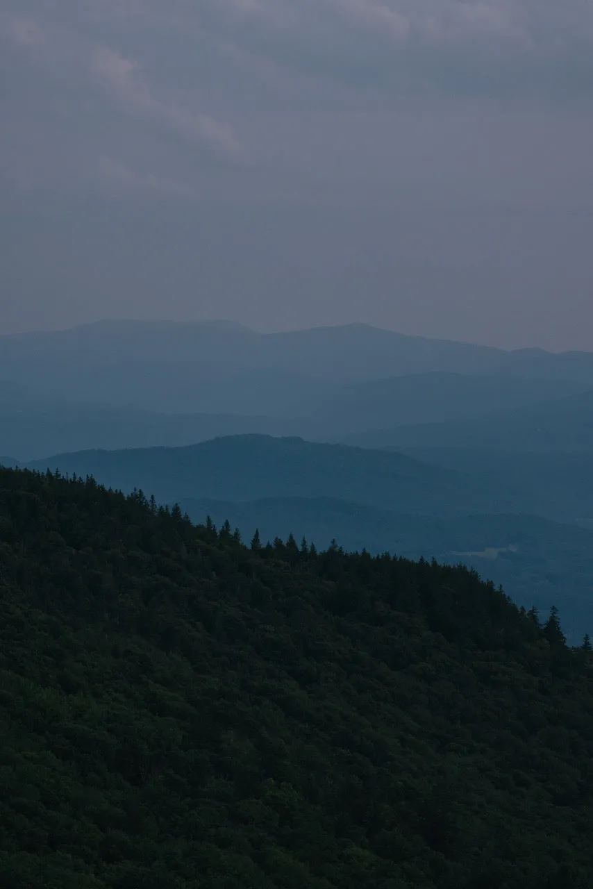 Closeknit (LS Pocket Tee) sold by Warren product image thumbnail 5