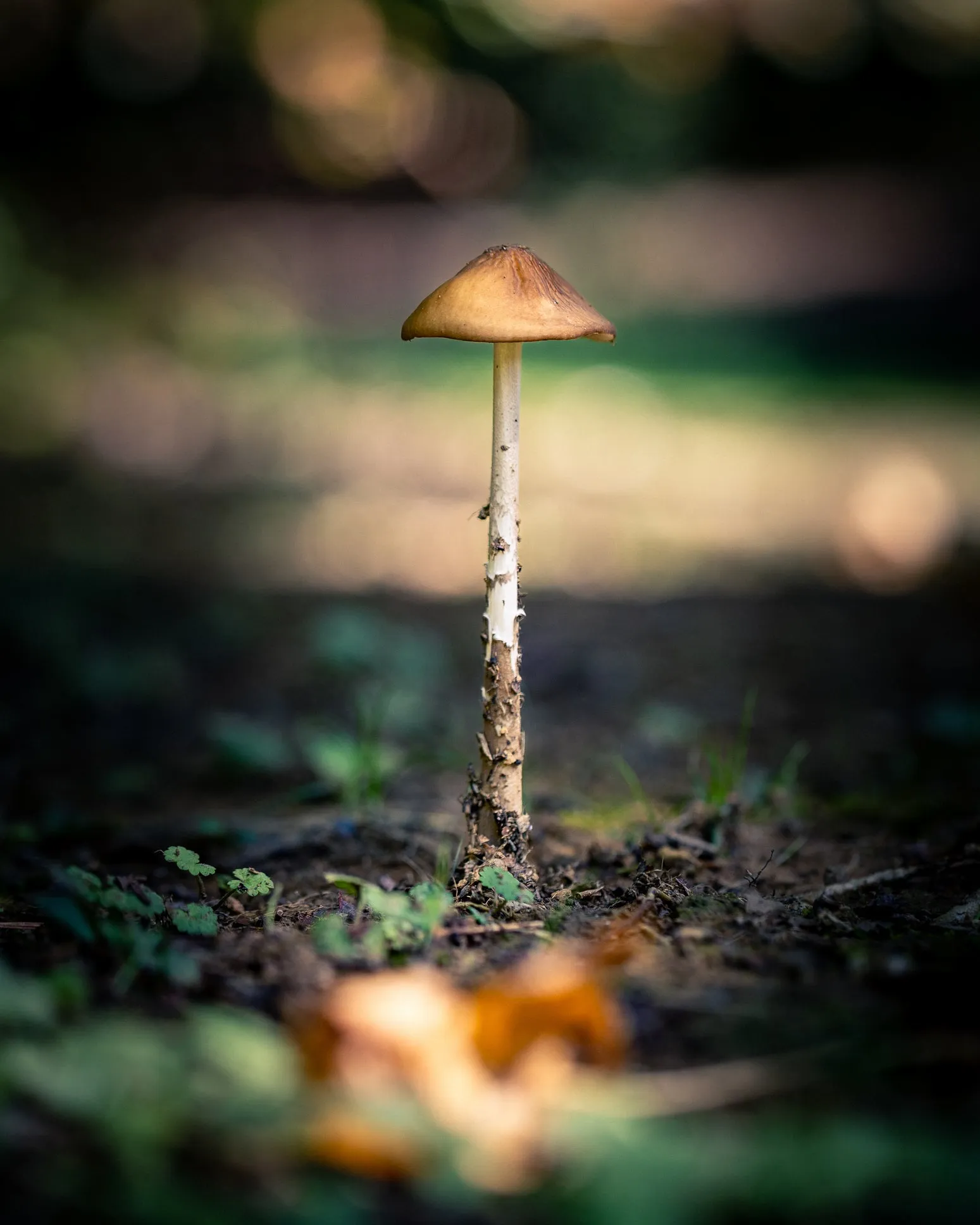 Closeknit (LS Pocket Tee) sold by Warren product image thumbnail 5