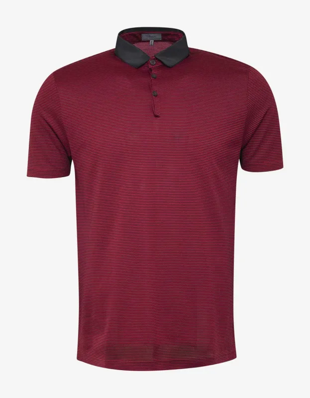 Red & Brown Stripe Grosgrain Collar Polo T-Shirt sold by Zoo Fashions