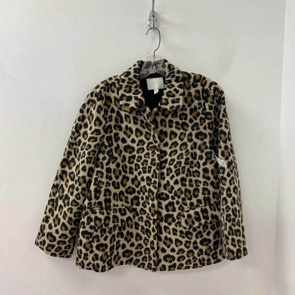 H&M WOMEN'S BLAZER/JACKET brown black M sold by The Comeback
