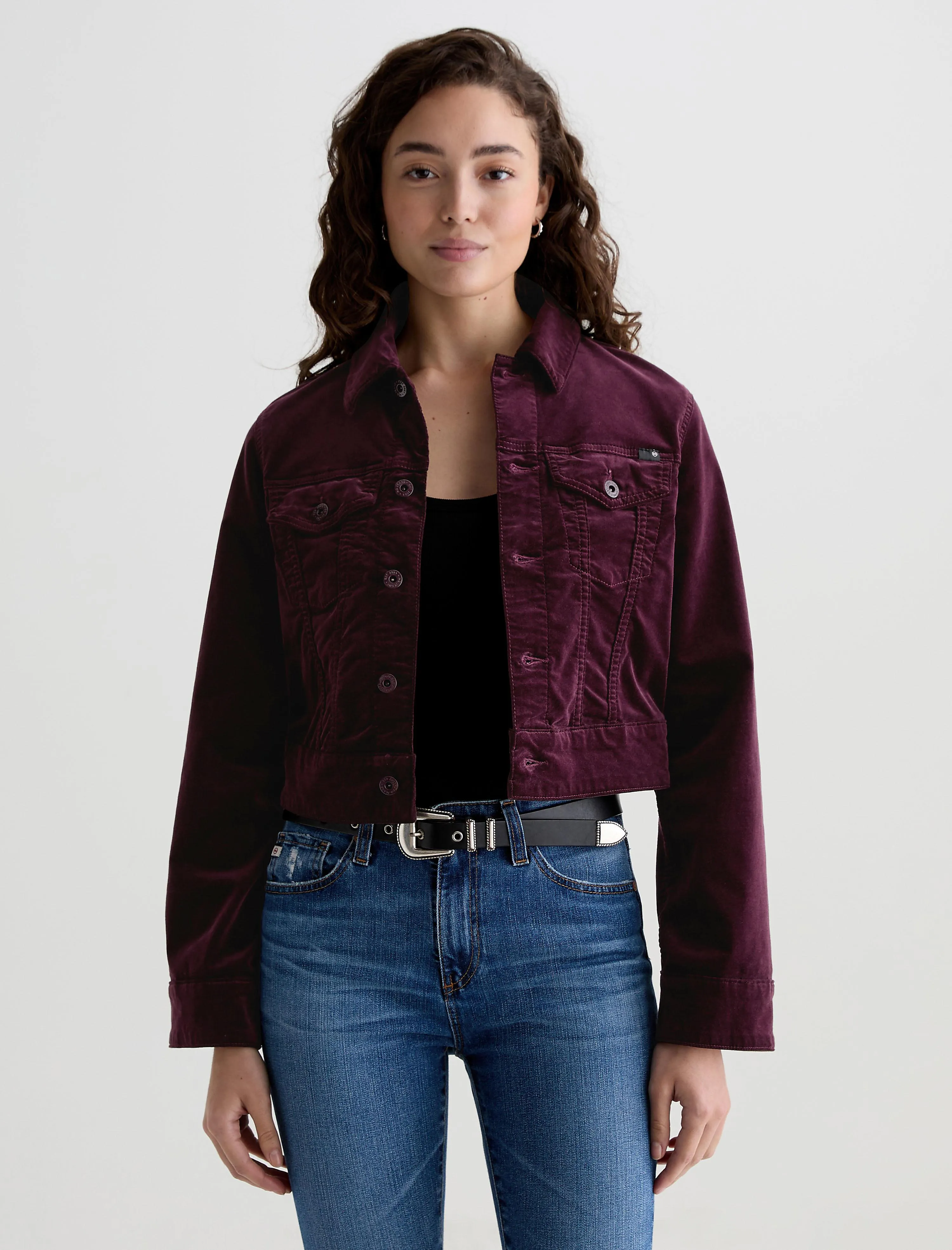 Isa Velvet Jacket sold by AG Jeans product image thumbnail 2