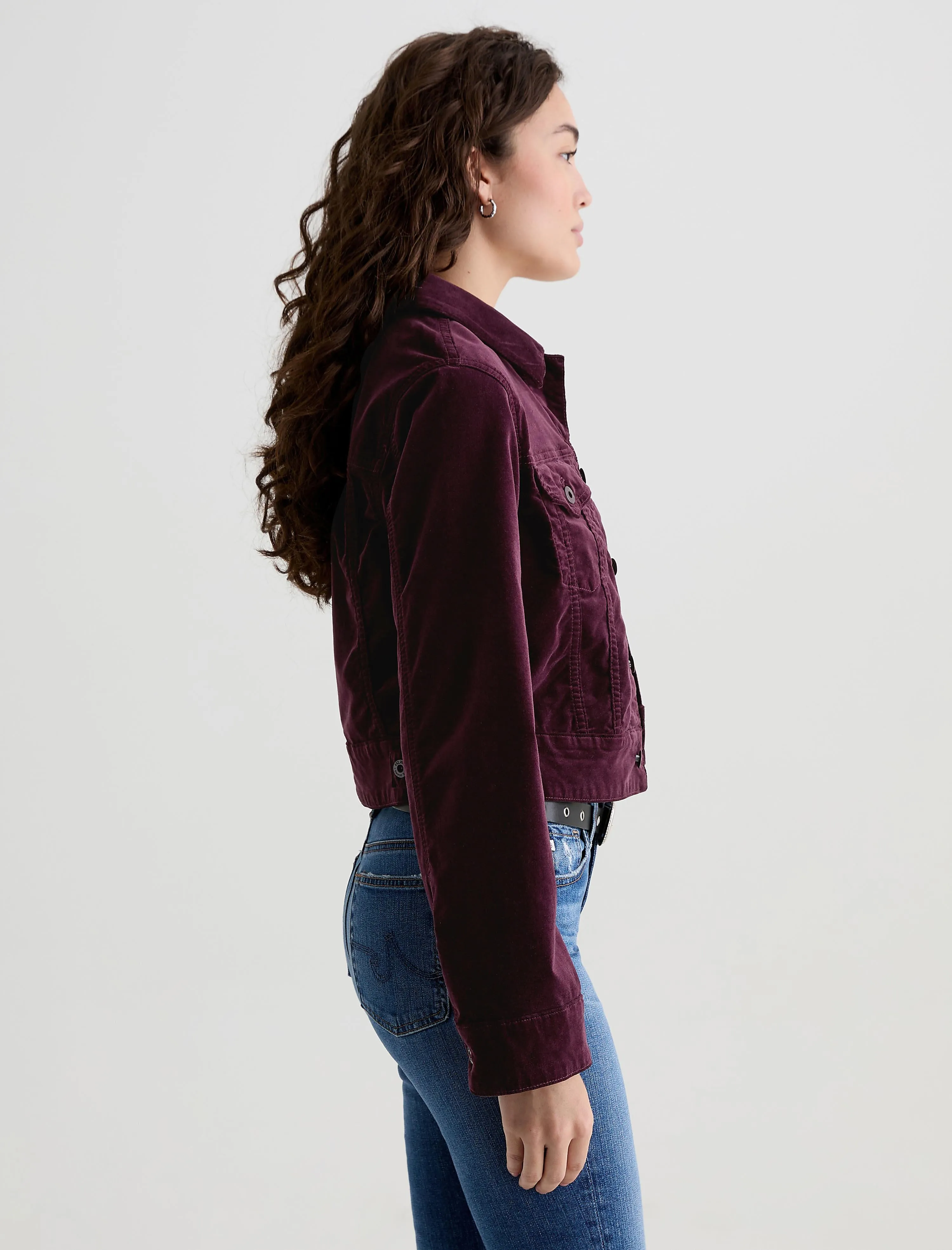 Isa Velvet Jacket sold by AG Jeans product image thumbnail 4