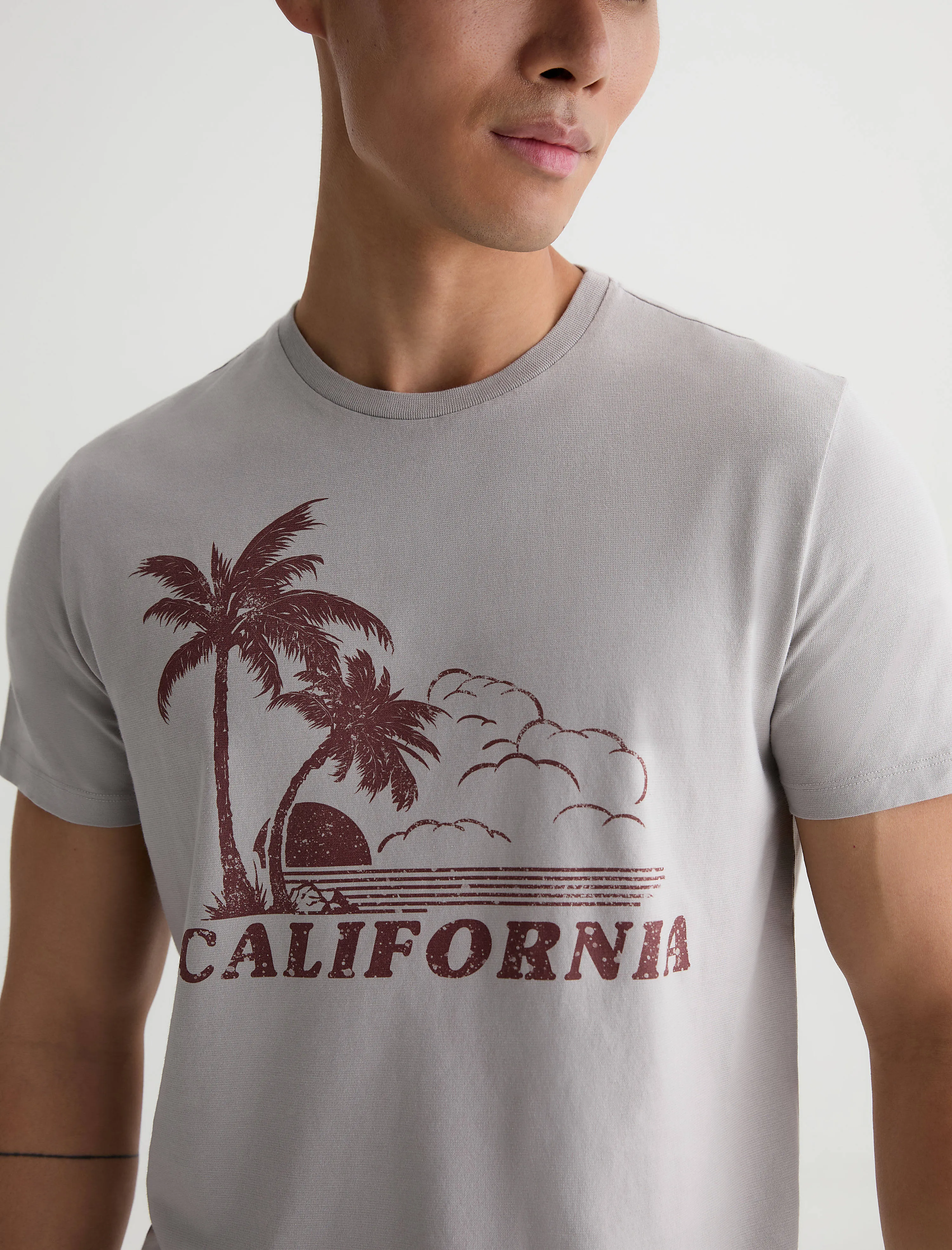 Bryce Crew sold by AG Jeans product image thumbnail 3