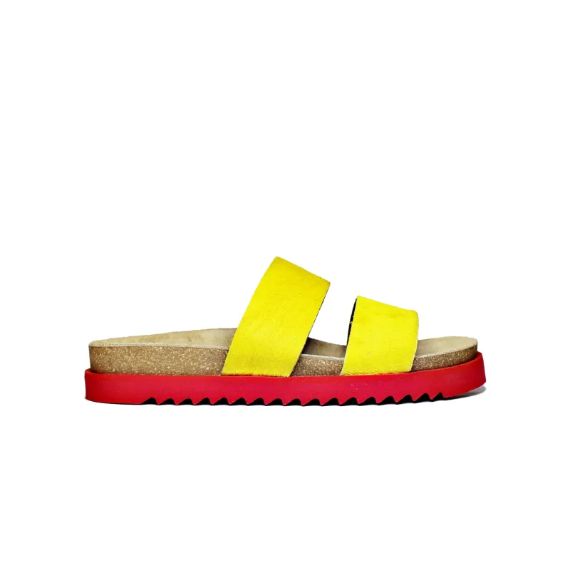 Broom Yellow sold by Pintta