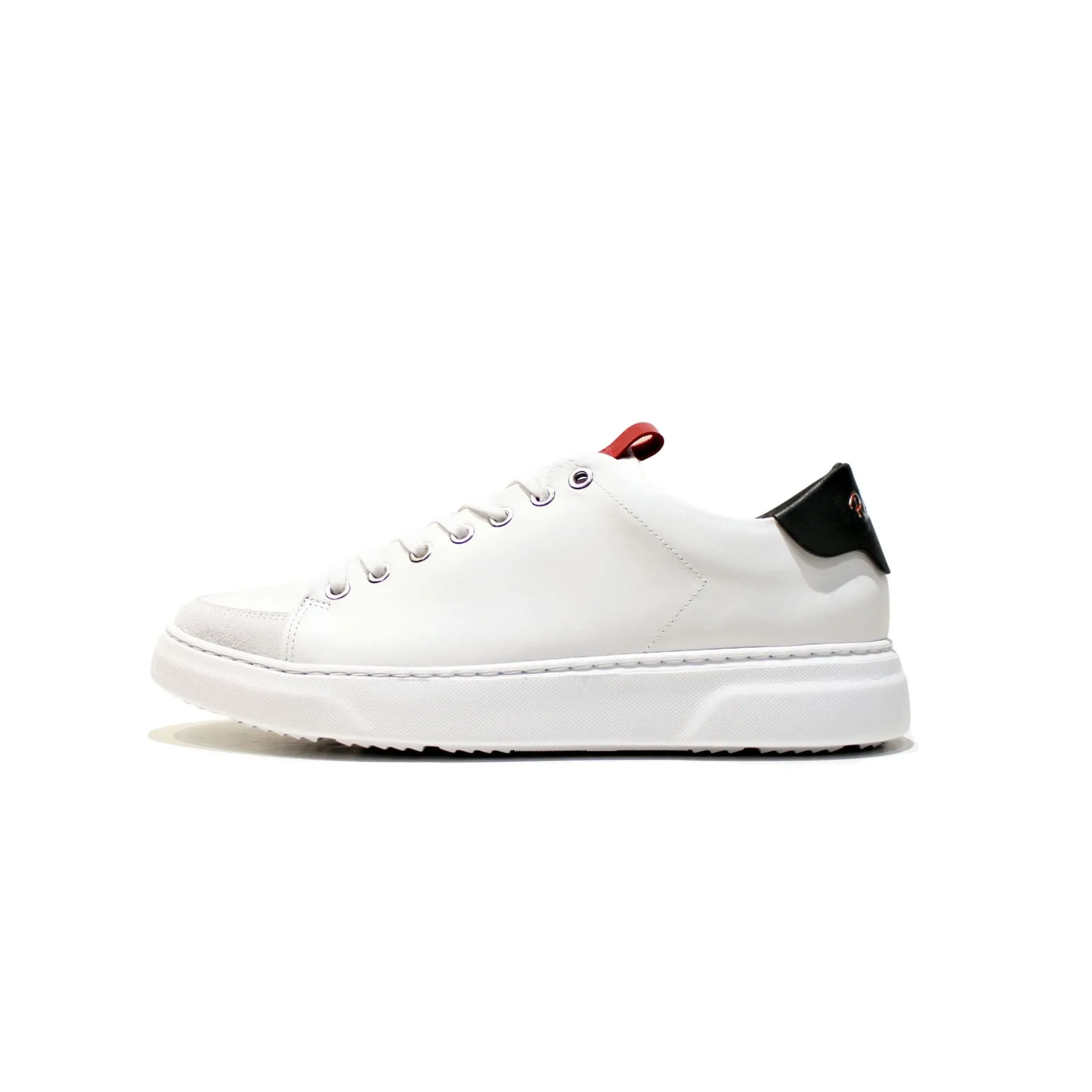 Paris Gray sold by Pintta product image thumbnail 5