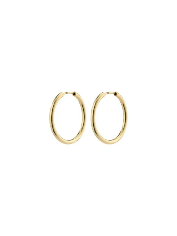 PILGRIM April Recycled Small Hoop Earrings sold by 27 Boutique