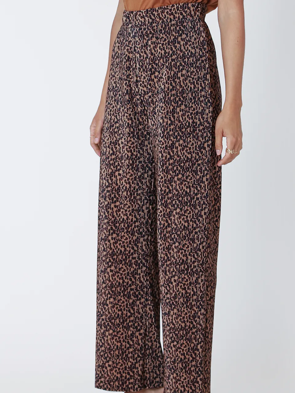 DEX Leopard Pleated Wide Leg Pant sold by 27 Boutique product image thumbnail 3