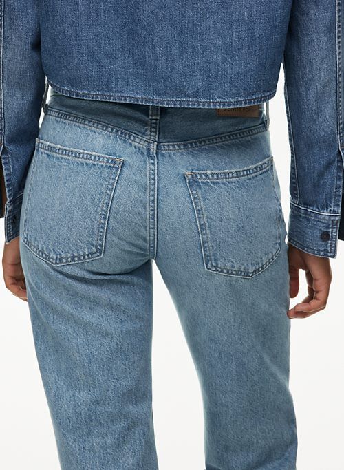 the 90s joni lo-rise loose jean sold by Aritzia product image thumbnail 2