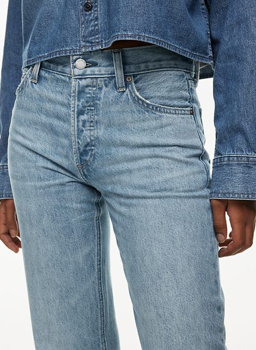 the 90s joni lo-rise loose jean sold by Aritzia product image thumbnail 4