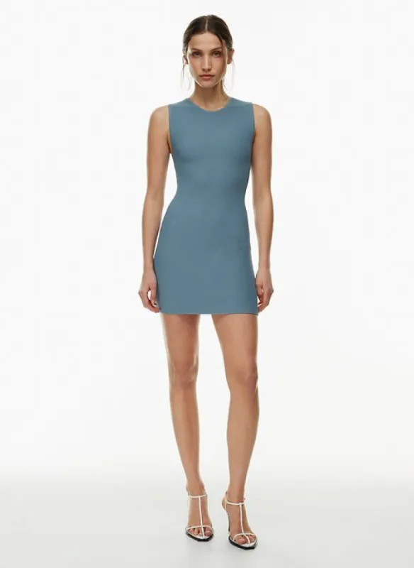 sculpt knit relation dress sold by Aritzia