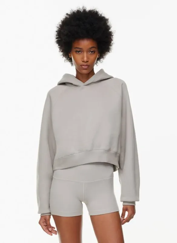 cozy fleece mega raglan cropped hoodie sold by Aritzia