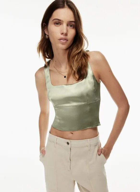 shine bustier sold by Aritzia