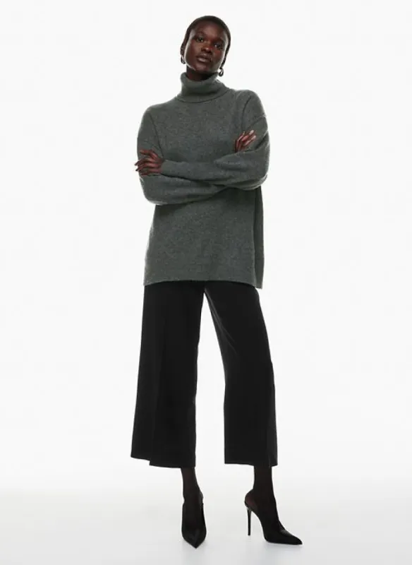 campana pant sold by Aritzia