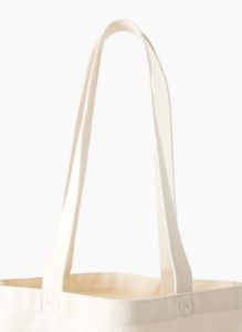 daylight tote sold by Aritzia
