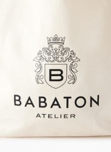 daylight tote sold by Aritzia