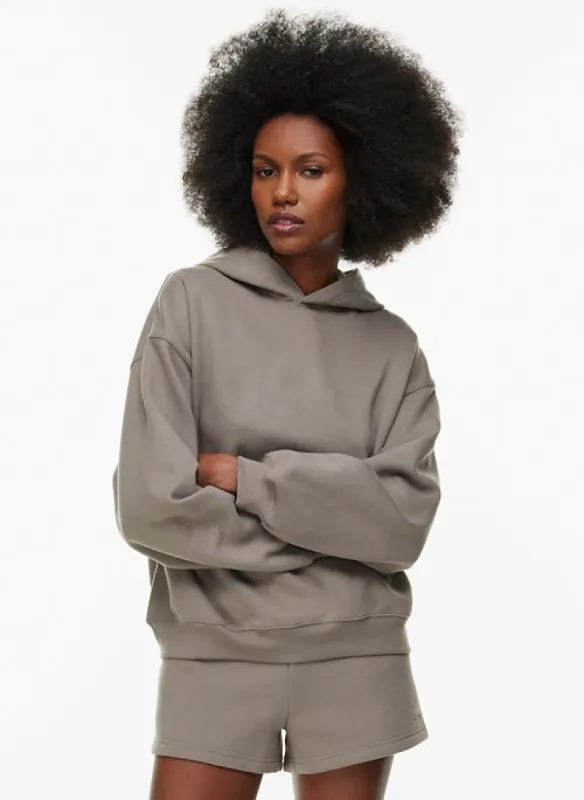 cozy fleece mega drop shoulder hoodie sold by Aritzia