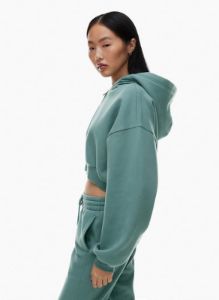 cozy fleece mega cropped zip hoodie sold by Aritzia