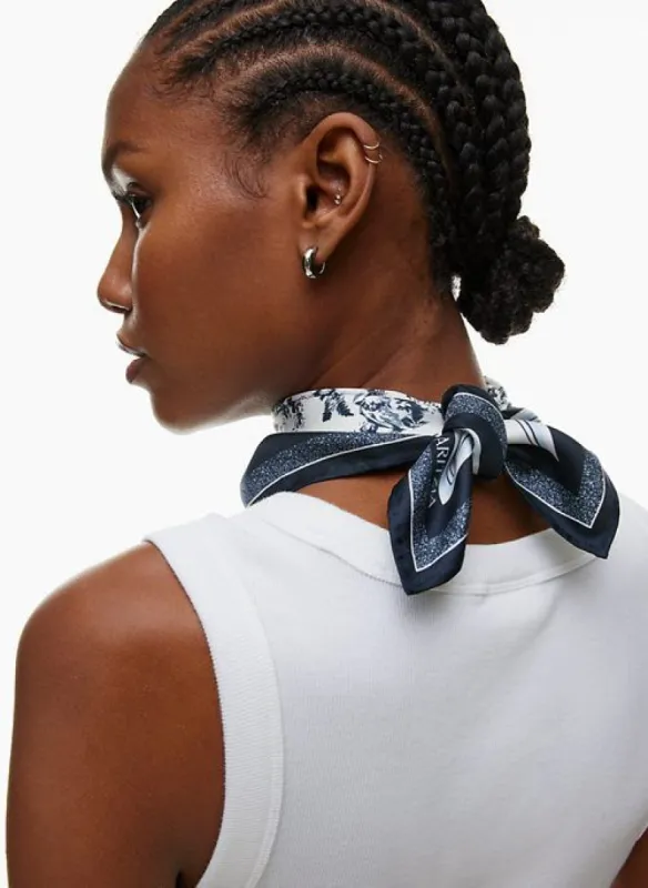 elite silk small scarf sold by Aritzia
