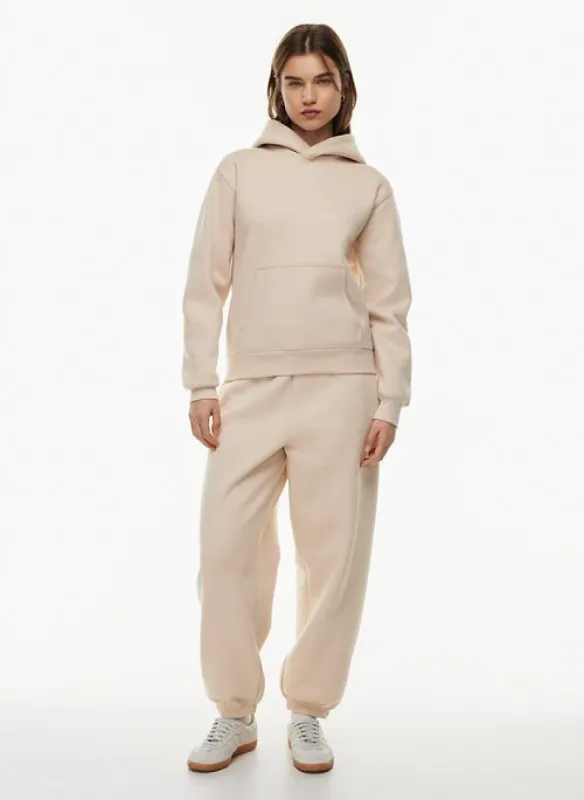 cozy fleece perfect hoodie sold by Aritzia